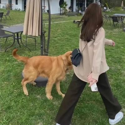 狂暴隔离区